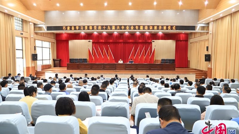 团体报名心理咨询师培训，价格背后的考量因素**